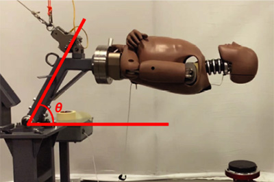 Dummy human body connected to machinery